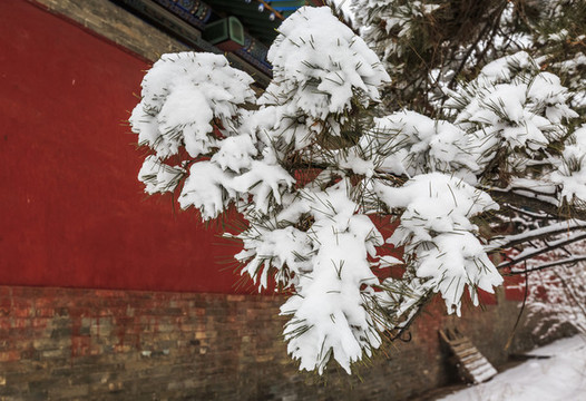 晉祠博物館景區(qū)雪后風(fēng)光