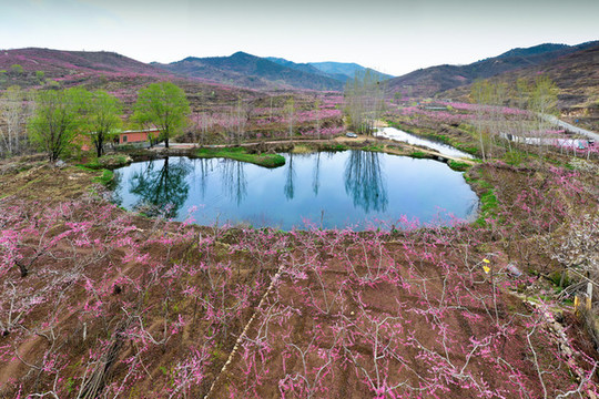 桃花湖泊