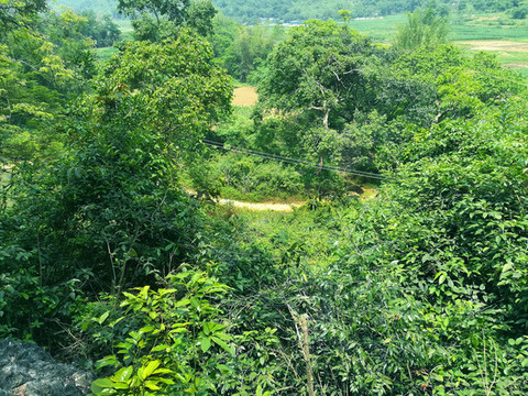 鄉(xiāng)間小路
