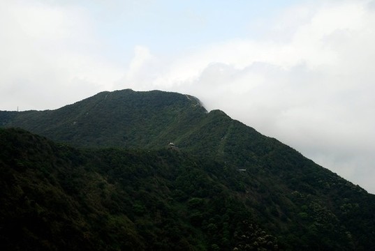 遙望大梧桐山