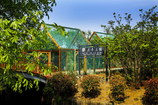 青蛙村