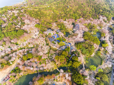 太湖黿頭渚風(fēng)景區(qū)
