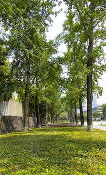 江北中央公園