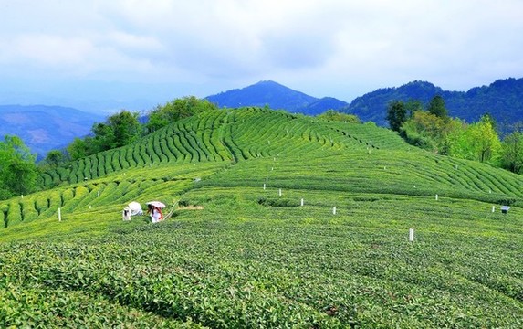 竹溪風(fēng)光BU
