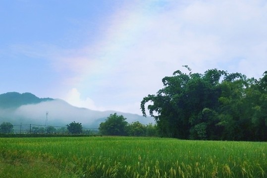 農村田園風光