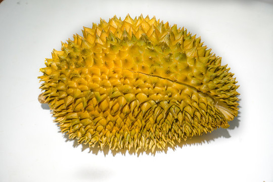 貓山王榴蓮