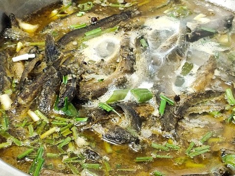 酸湯泥鰍