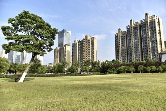 城市建筑