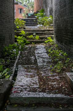 石板路
