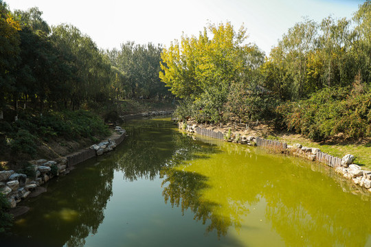 秋日小河