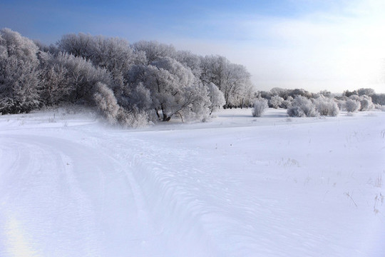 雪景