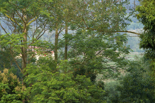 美麗鄉(xiāng)村