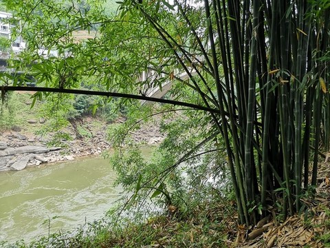 綠水青山