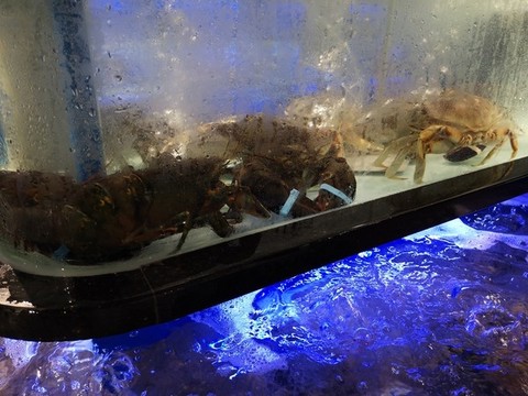 龍蝦