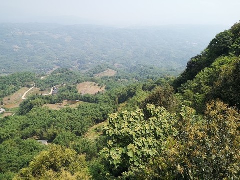 望云峰