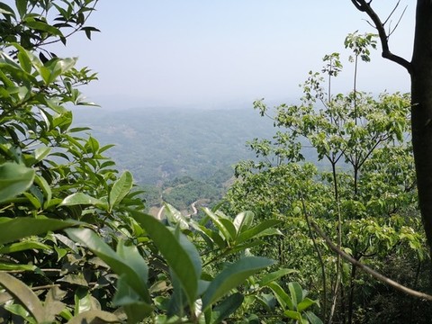 望云峰