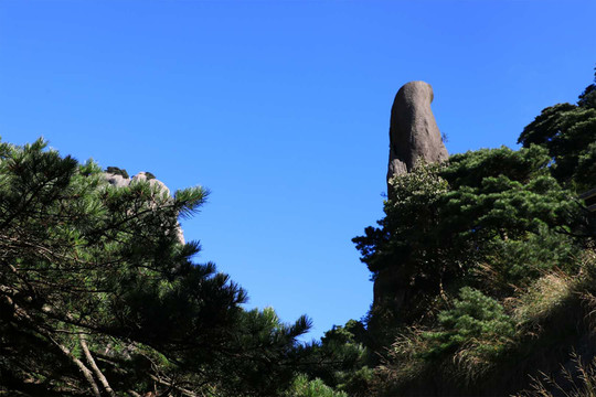 黃山奇峰