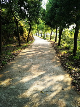 山間小路