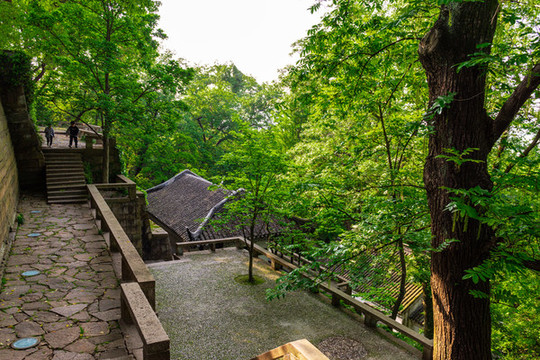 虎丘山風景名勝區(qū)