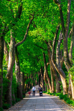 虎丘山風(fēng)景名勝區(qū)