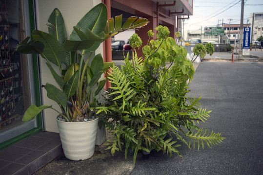 街邊景觀