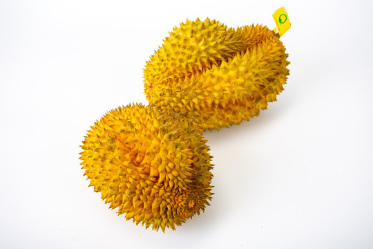 泰國金枕