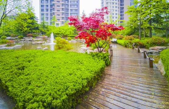 小區(qū)景觀園林