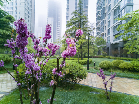 小區(qū)園林景觀