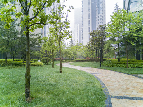小區(qū)綠化景觀