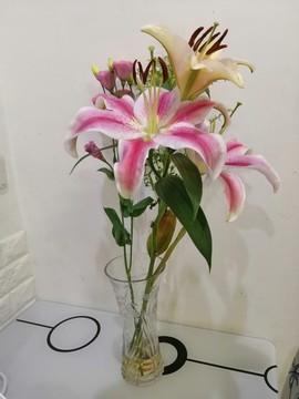 百合花