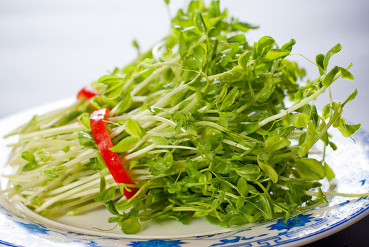 龍須菜