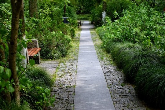 公園小路