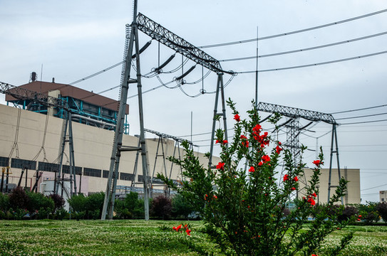 電廠出線
