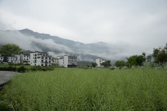 婺源