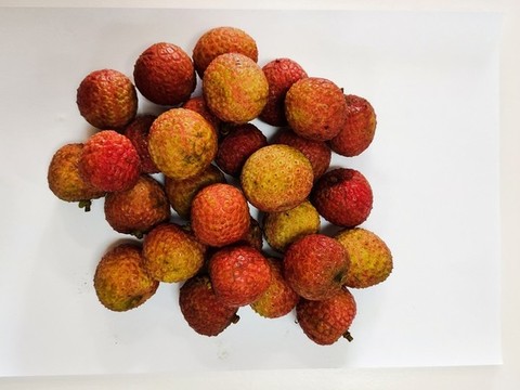 白糖荔枝