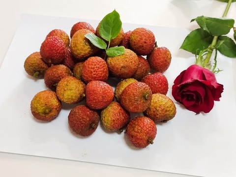 荔枝和玫瑰