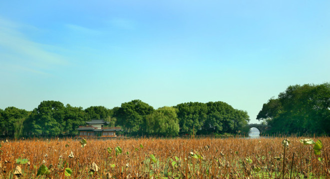 西湖風(fēng)光