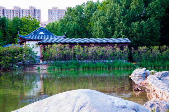 大同平旺公園