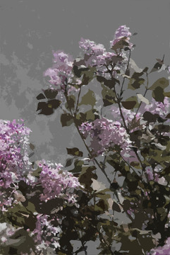 丁香花裝飾畫