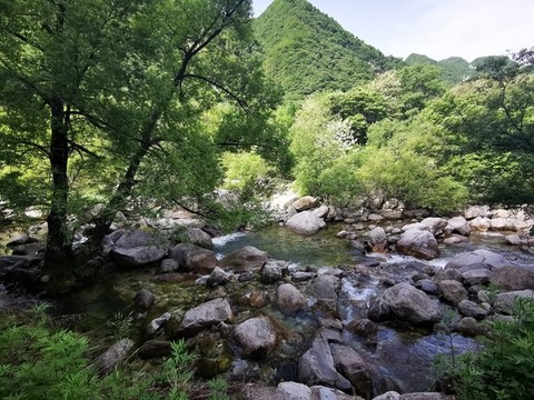 秦嶺