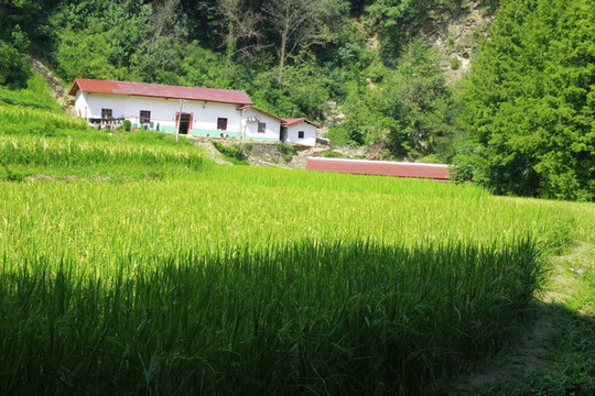 匯灣風(fēng)景A