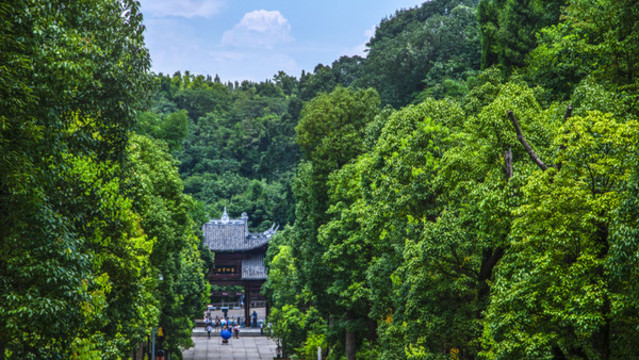 叢林深處有古屋