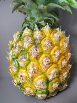 菠蘿