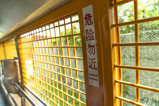 野生動物園投喂車內景鐵窗