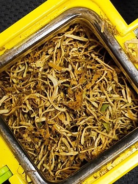 干金銀花