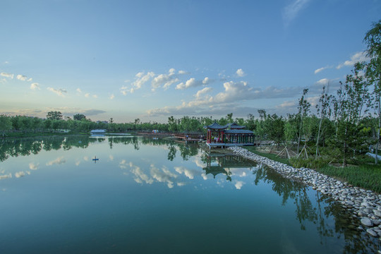 舊宮城市森林公園碧蓮湖