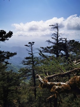 秦嶺