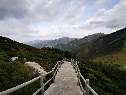 秦嶺