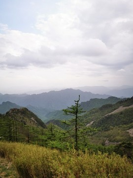秦嶺