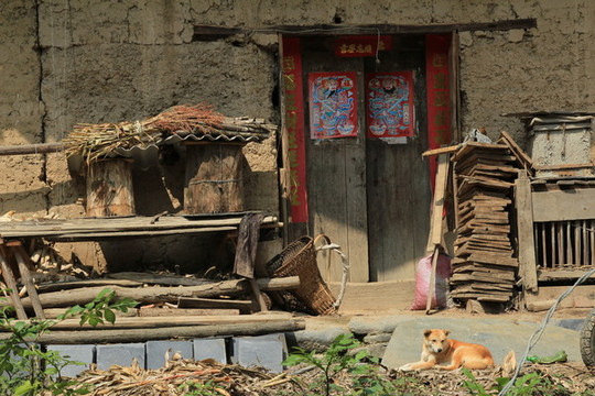 農(nóng)作物O